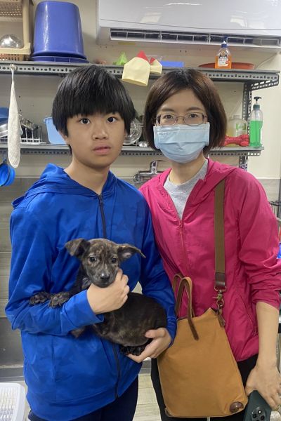蓮美人