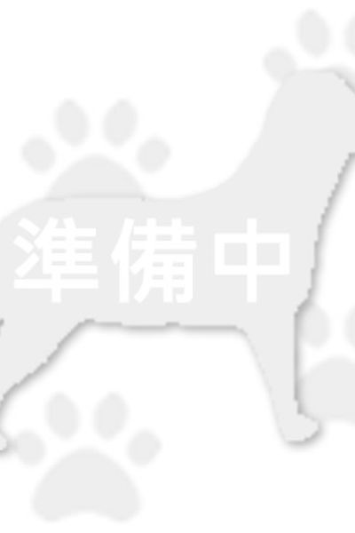狀元