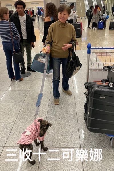 可樂娜