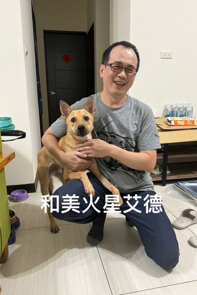 艾德