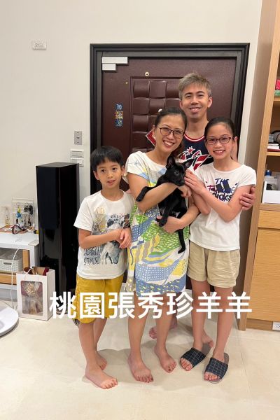 羊羊