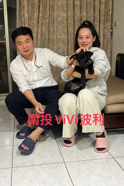 波利