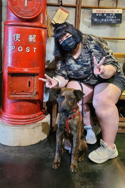 糯米糰
