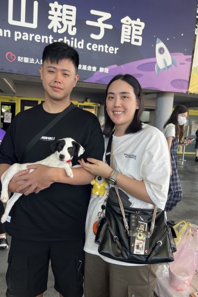 乳牛