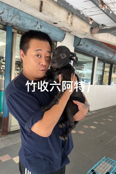 小特