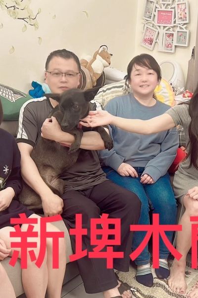 木蘭