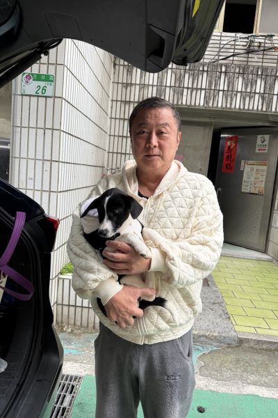 和安