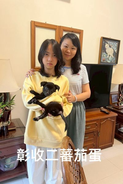 蕃茄蛋