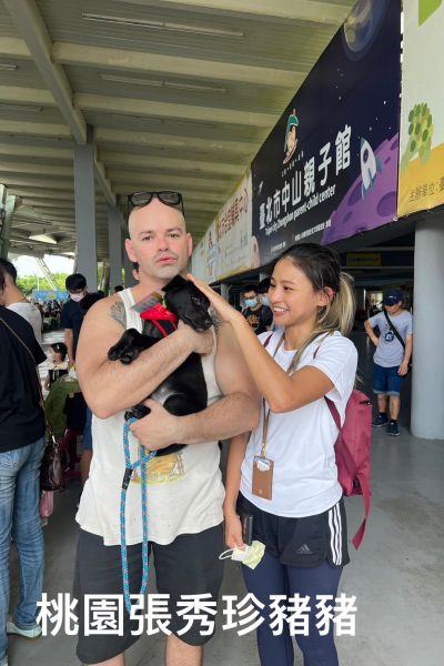 豬豬