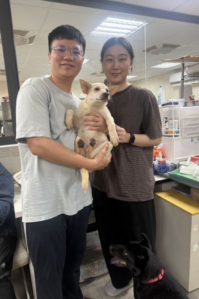 翠絲
