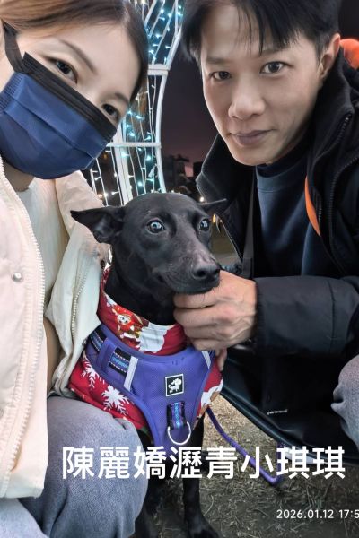 小琪琪