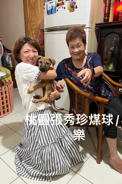 煤球