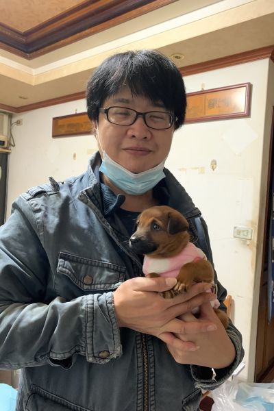 波卡