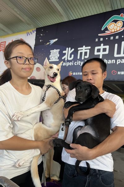 起司寶