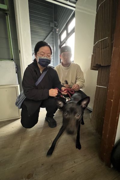 喜瑞/可可
