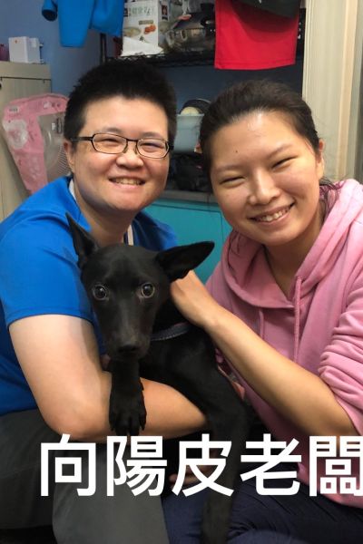 皮老闆