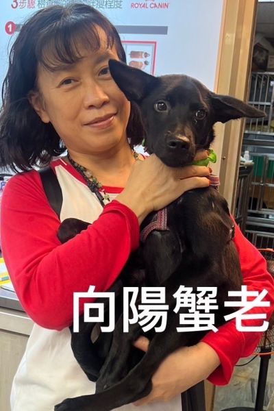向陽蟹老闆