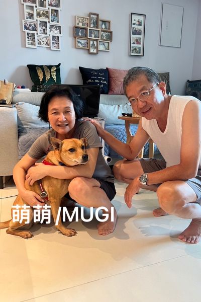 萌萌