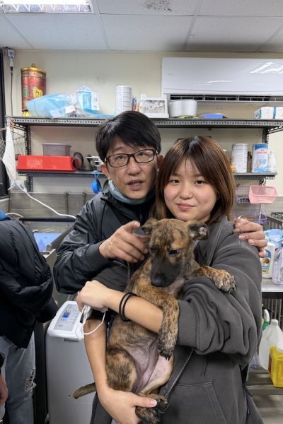 樟寶
