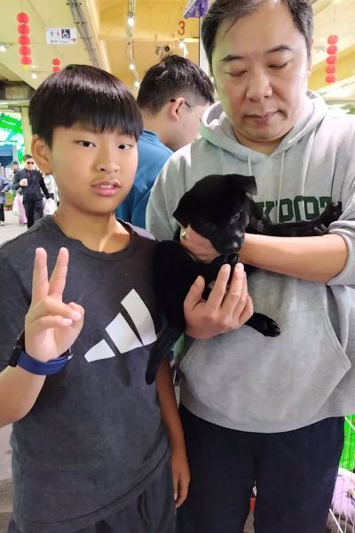 熊胖胖