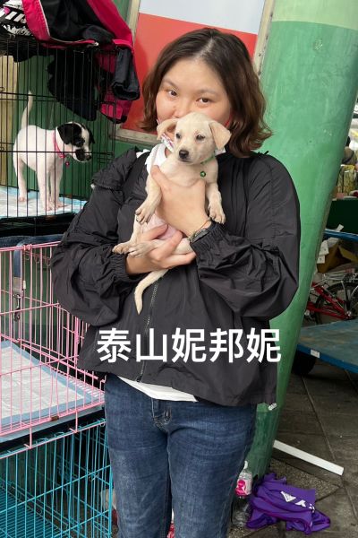 泰山妮邦妮