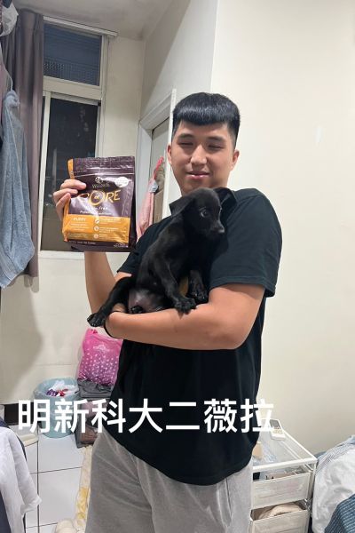 薇菈