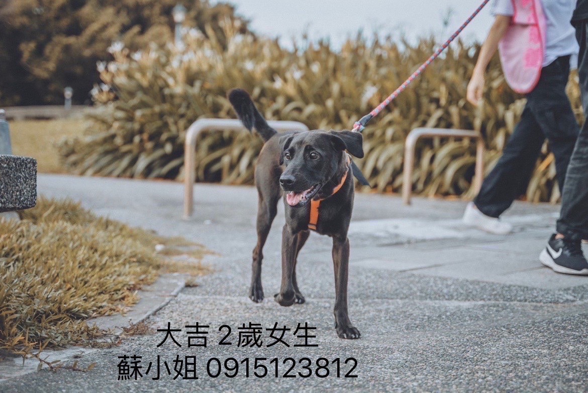 大吉