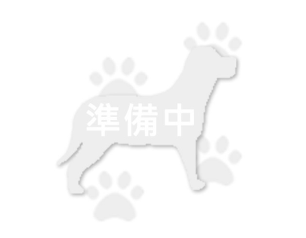 小丸子