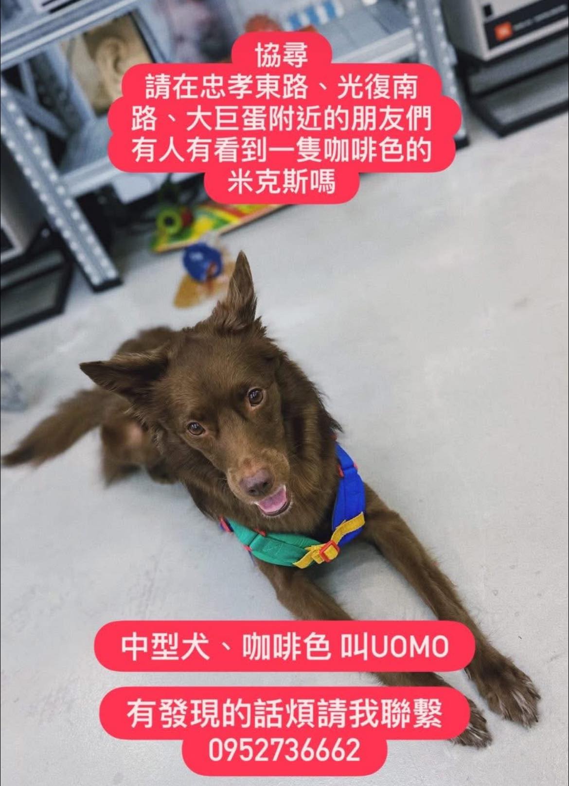 581294971 858024573245575 847880700752950997 n