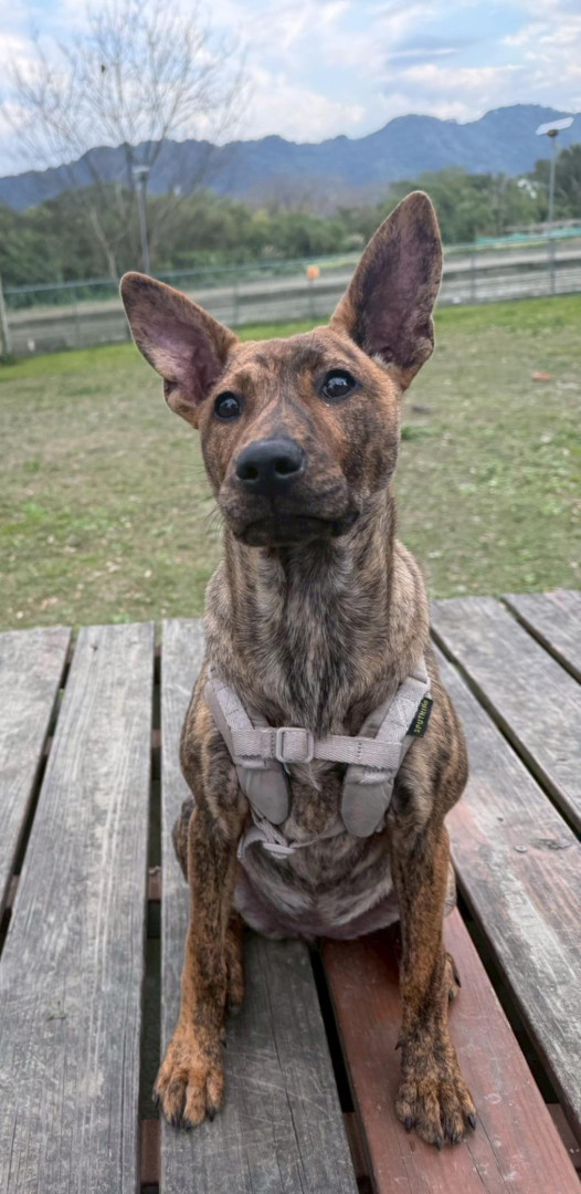 641394920 939505165097515 993870034443872789 n