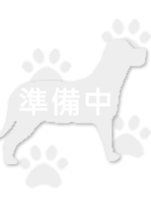 枋寮小蓮