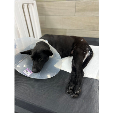 水星