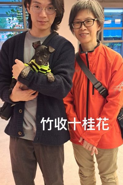 桂花