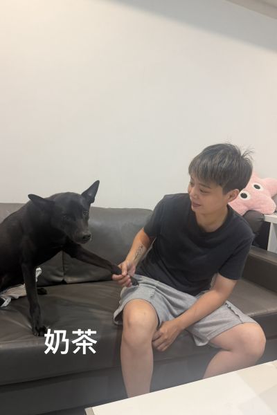 奶茶