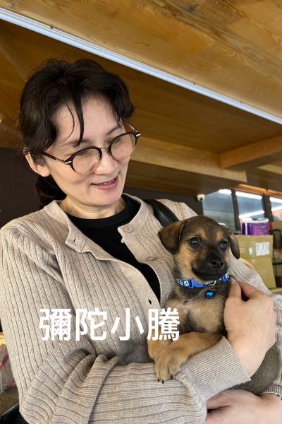 小騰