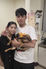 竹筍