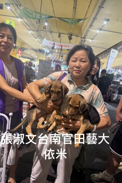 伊米
