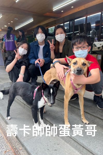 蛋黃哥