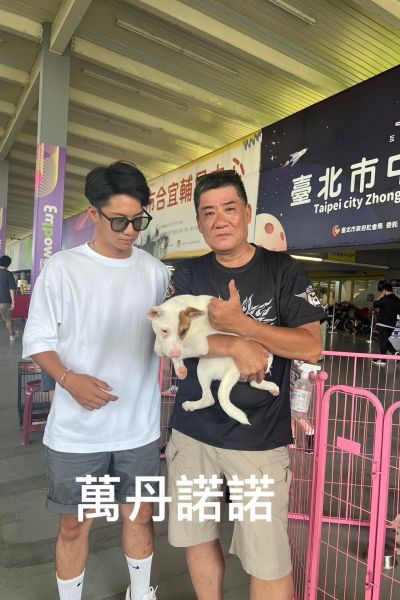 諾諾