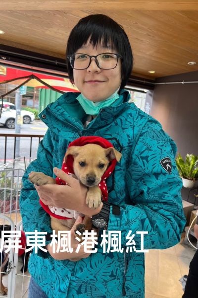 楓晴