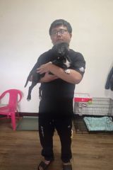 西施柚