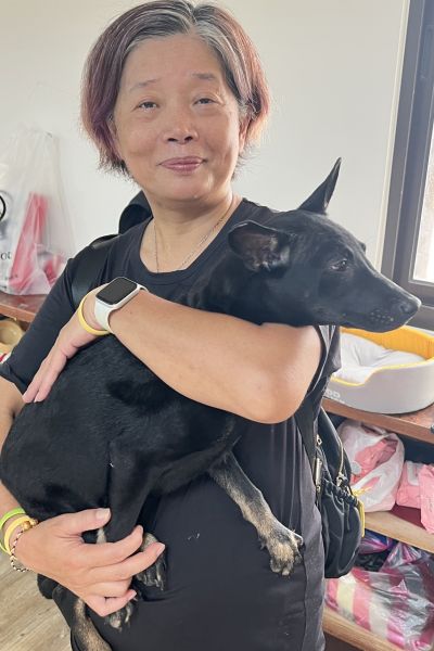 艾莎