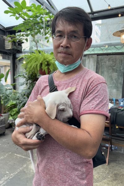 豆沙包