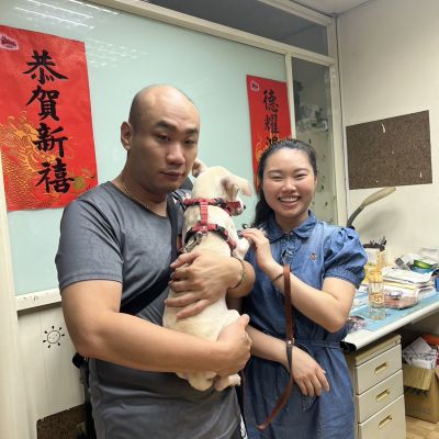 奶酪