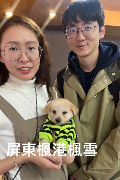 楓雪