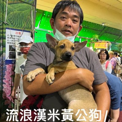 麻糬