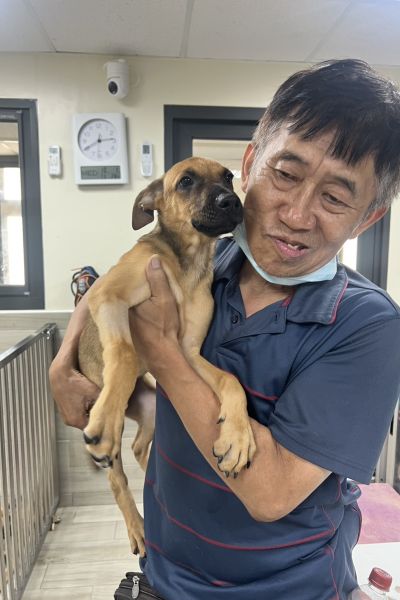 沙琪瑪