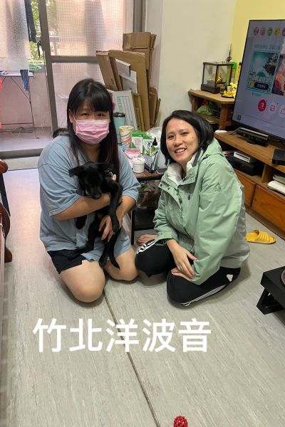波音