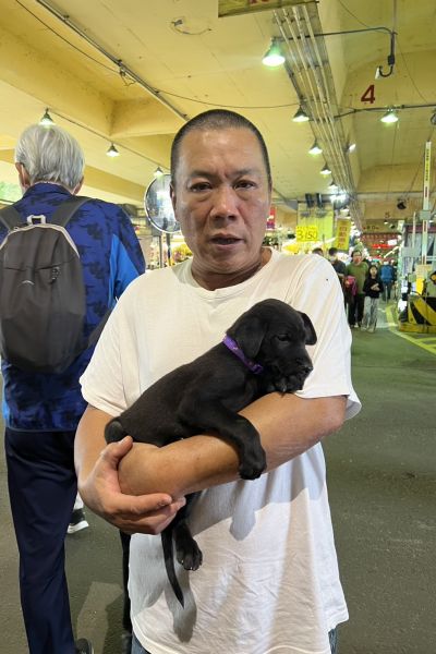 擋路小黑