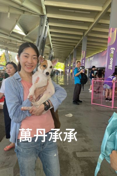 承承